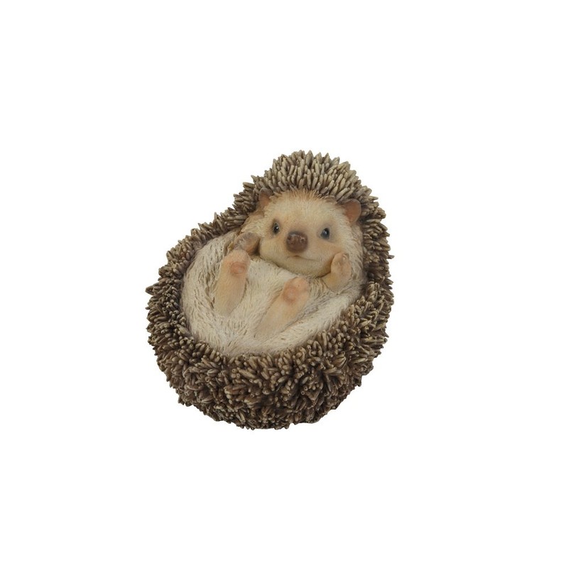 Hi-Line Gift Ltd Hedgehog on Back Statue