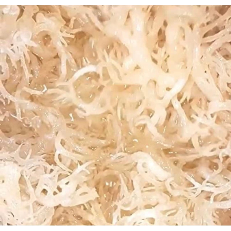 Sea Moss (raw) (Golden, 100g)
