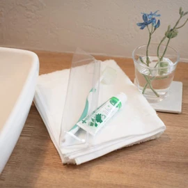 dentis travel set