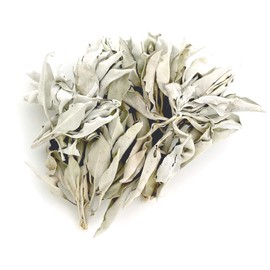 Beaut Direct from Source White Sage Harvested May 2025, Selected, for Purification, Organic, Origin Certificate Available, California Grown White Sage Cluster Type (with Branches) 500g
