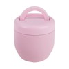 Oasis Stainless Steel Double Wall Insulated Food Pod 470Ml -