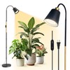 Bstrip Grow Light for Indoor Plants, 65" Tall Standing Grow