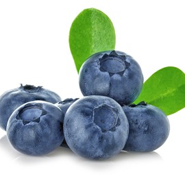 Wellspring Gardens Top Hat Blueberry Live Plant - Dwarf Vaccinium augustifolium Shrub - Great for Garden Beds, Patio Containers & Indoor Pots - for Outdoor Landscaping & Home Gardens - Starter Plant