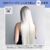 Kyogoku Rich Crystal + White Bleach, Hair Whitening, Beauty Salon