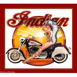 INDIAN MOTORCYCLE SIDE DECAL NORTHWESTERN GUMBALL
