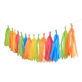 25 PCS Fiesta Paper Tassel Garland Paper Banner DIY Hanging Paper Decoration Party Garland Streamers for Wedding, Birthday Celebration Party Decor and Outdoor Decor