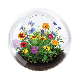 Unique Gardener New - Unique Gardener Glass Terrarium - Wildflower Blooms - Ages 4+ | 1 player