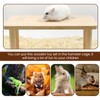 Hamster Platform, Hamster Accessories, Hamster Platform, Wooden Play Podium, Hamster