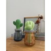 Moisturizing Mascot Cactus Glass BR AG-28085