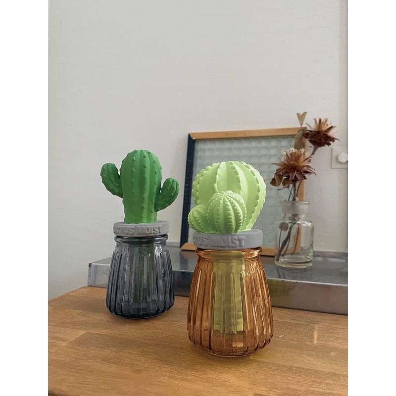 Moisturizing Mascot Cactus Glass BR AG-28085
