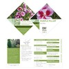 Proven Winners 2 Gal. Purple Pillar Rose of Sharon (Hibiscus)