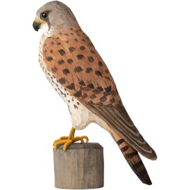 WILDLIFEGARDEN Wildlife Garden WG4470 DecoBird Kestrel - Hand Carved Decorative Wooden Bird - Large European Birds