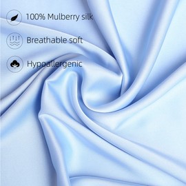Natural Silk Pillowcase Set of 2 for Hair &Skin - Both Sides 19 Momme 600 Thread Count with Hidden Zipper (Light Blue, Queen)