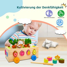 Montessori Toy for Children from 1, 2, 3 Years, 7-in-1 Wooden Toy, Sorting Game, Wooden Puzzle, Carrot Harvest, Educational Toy Gift for Girls, Boys, Toddlers