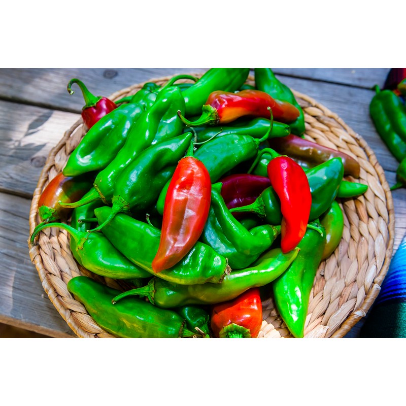 KIRA SEEDS - Seeds Jalapeno Chili Pepper - Hot -