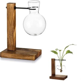FitBest Maceta de cristal para escritorio, terrario, maceta con soporte de para propagación de plantas hidropónicas, decoración del hogar, dormitorio, jardín