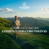 Detox Hígado 11 En 1 Con Zeolita, Cardo Mariano, Nac