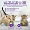 TopSum Cat Calming Diffuser Refills: Pheromone Refill for Cats, Long-Lasting