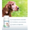 Ruiland Geriapet Suplemento Especializado Para Perros Mayores 60 Tabletas