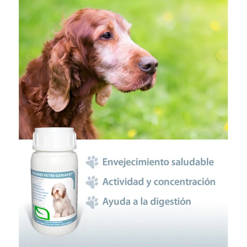 Ruiland Geriapet Suplemento Especializado Para Perros Mayores 60 Tabletas