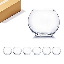 WGV Square Moon Vase Bulk, 8" x 2.5"W, 6.75" H, Clear Glass Floral Container, Storage Jar, Planter Terrarium, Wedding Event Home Decor, 6 Pieces (VMV0807)