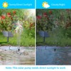 Biling Solar Water Pump Outdoor, Upgraded Solar Fountain Pump Kit