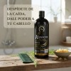 Shampoo Azabache Cola De Caballo Biotina Bergamota 500ml