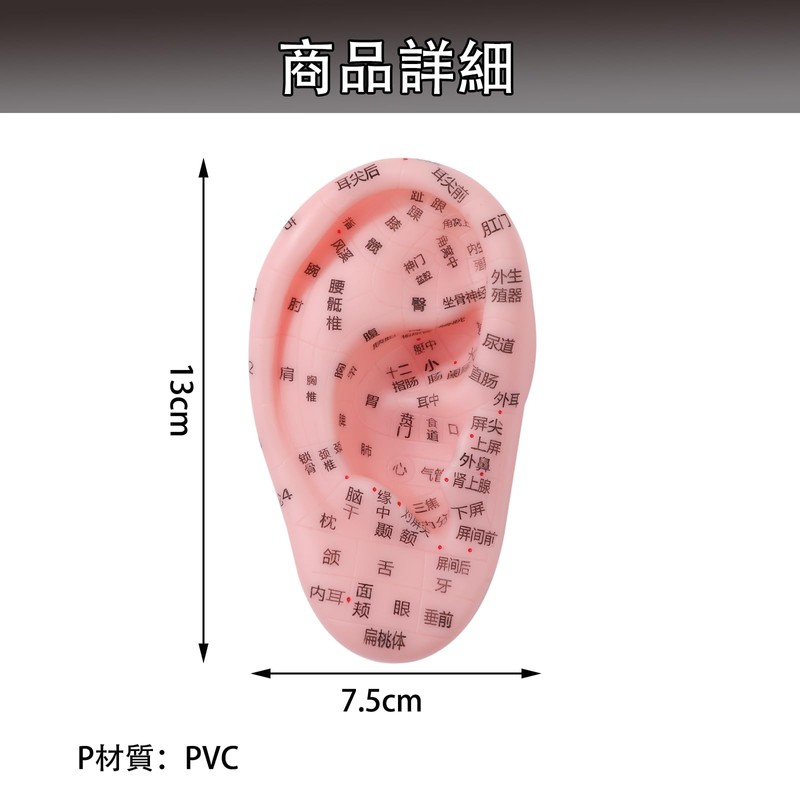 ピュアシーク 6個セット 耳鍼モデル 耳つぼモデル 医療器具 耳マッサージ 鍼モデル つぼモデル PVC 耳