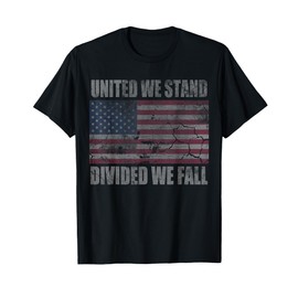 American Flag United We Stand Divided We Fall Men Women T-Shirt