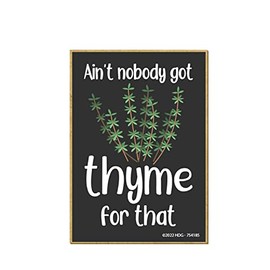 Honey Dew Gifts, Ain't Nobody Got Thyme for That, 2.5 inch by 3.5 inch, Made in USA, Mom Magnet, Refrigerator Magnets, Decorative Magnets, Funny Fridge Magnets, 754185
