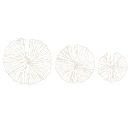 Creative Co-Op Handmade White Coral Shaped Paper & Metal Wall Décor (Set of 3 Sizes)