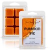 The Candle Daddy Pumpkin Pie Scented Wax Melts Cubes -