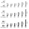 M2 M3 M4 Alloy Steel Screws Nuts and Washers 1200PCS,