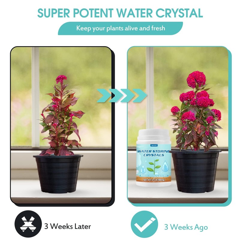 2LB Water Storing Crystals for Plants with Spoon, Water Gel