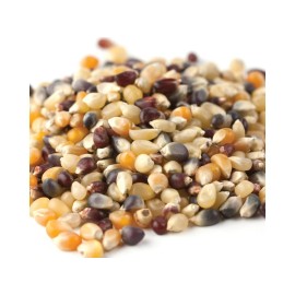 Amish Country Rainbow Bulk Popcorn 3 Pounds Popcorn Kernels Free Shipping
