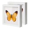 QDSSDECO 10"x10" Shadow Boxes Display Cases with Soft Linen Back