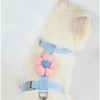 Cat Harness, Cat Leash Set, Flower Shape, Cat Harness, Lightweight,