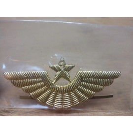 5- Russian Aviation Army Cap Badge
