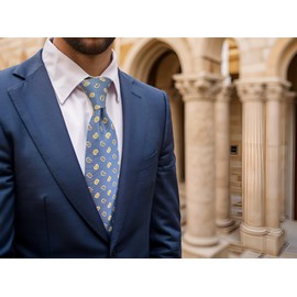 [S&W SHLAX&WING] Men's Necktie, Suit, Jacket, Classic, 57.9 inches (147 cm), Blue, Green, Red, Paisley, B48-S