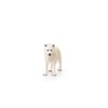 Schleich Arctic Wolf