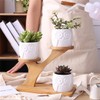 White Owl Ceramic Succulent Pots, 3Pcs Modern Decorative Flower Planters