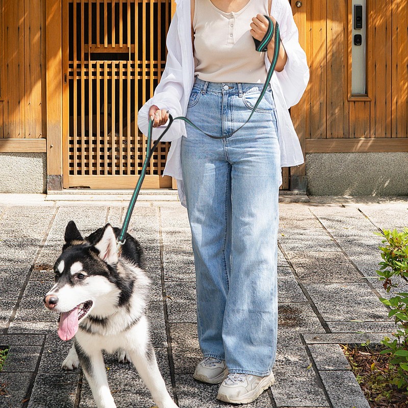 MoNiBloom 5 Feet Dog Leash Rope Heavy Duty Reflective Dog