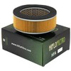 Hiflofiltro HFA2911 Filtro de Aire Premium OE de Repuesto Negro