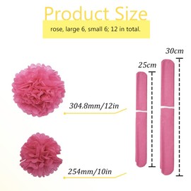 Ruidee 12 Pieces Tissue Paper Pompoms 10in and 12in Hanging Tissue Flowers Decorations Rose Color Paper Flower Ball Party Wedding Decoration