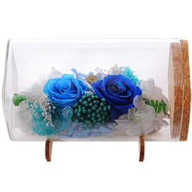 TEATSIGHT Preserved Flower Bottle Gift Boxed Soleil (Roses, Blue)