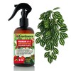 Gardenera Proffesional AROID Spray Fertilizer Mist for Home Gardening |