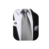 Enlision Silver Grey Ties for Men Wedding Plaid Tie and