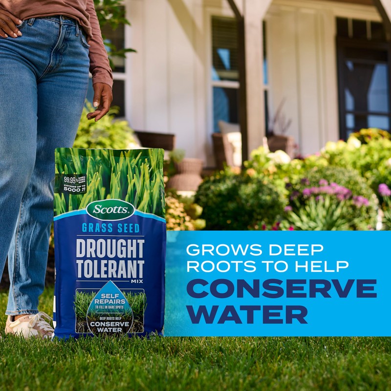 Scotts Grass Seed Drought Tolerant Mix, Kentucky Bluegrass and Tall