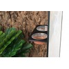 CRITTZOO Crested Gecko Feeding Ledge with 10PCS Gecko Food Water