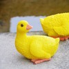Duck Ornament Resin Weather Resistant Cute Vivid Expression Duck Statues